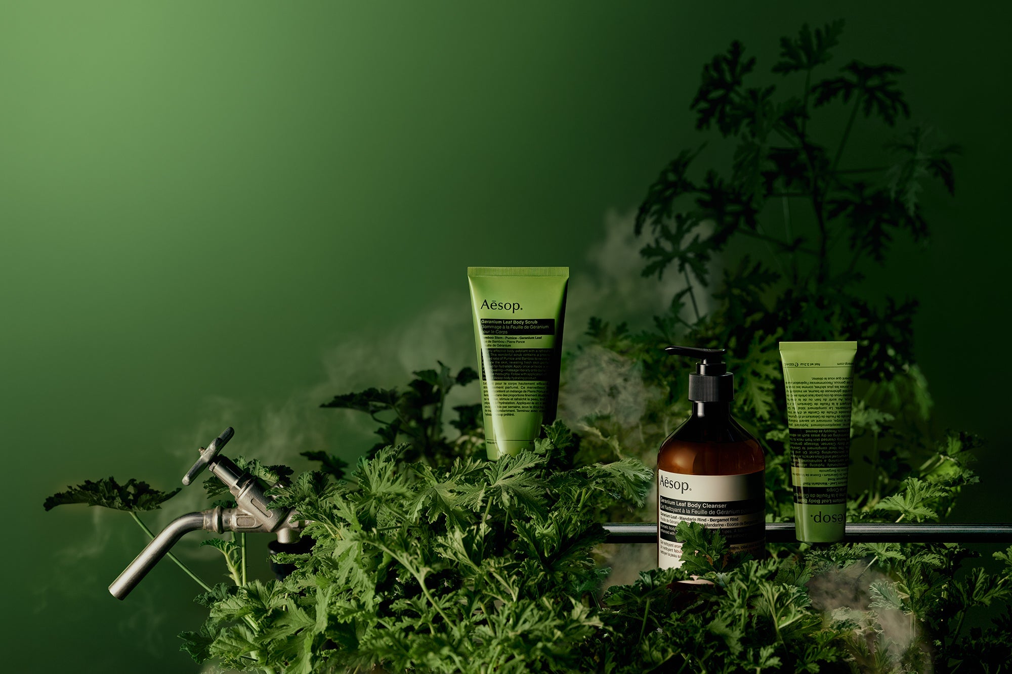 Geranium Leaf – aesopskincare.ph