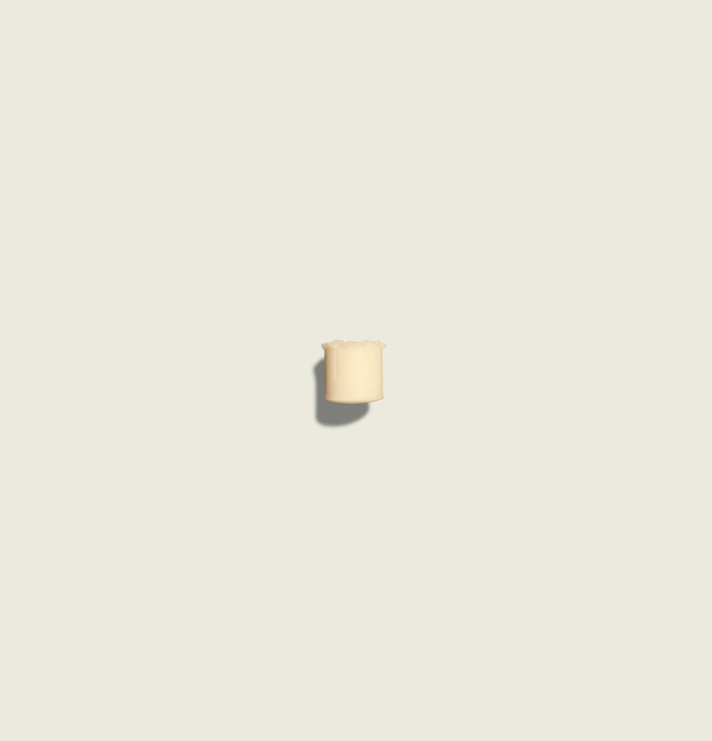 Protective Lip Balm SPF30 5.5g