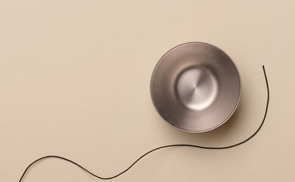 Stainless Steel Bowl